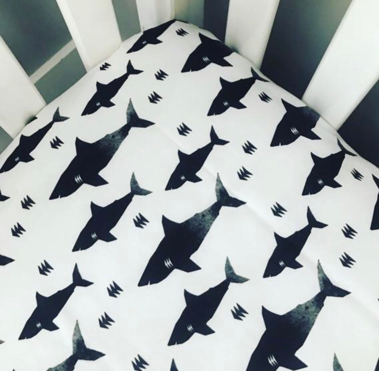 Shark Fitted Crib Sheet | B+W Watercolor